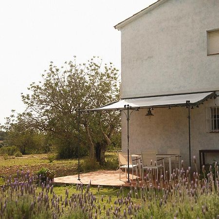 Masia Bartomeu Rural House Between Vineyards 2Km From The Beach إل فيندريل المظهر الخارجي الصورة
