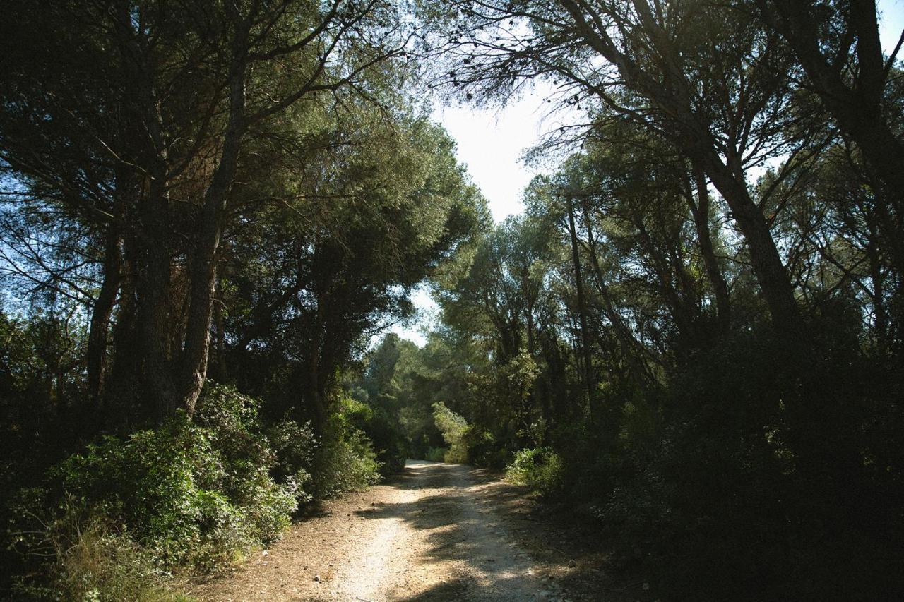 Masia Bartomeu Rural House Between Vineyards 2Km From The Beach إل فيندريل المظهر الخارجي الصورة