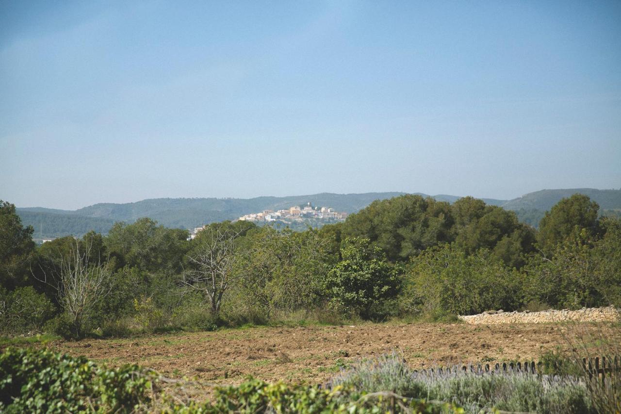 Masia Bartomeu Rural House Between Vineyards 2Km From The Beach إل فيندريل المظهر الخارجي الصورة