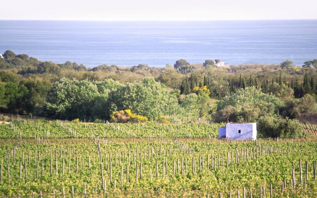 Masia Bartomeu Rural House Between Vineyards 2Km From The Beach إل فيندريل المظهر الخارجي الصورة